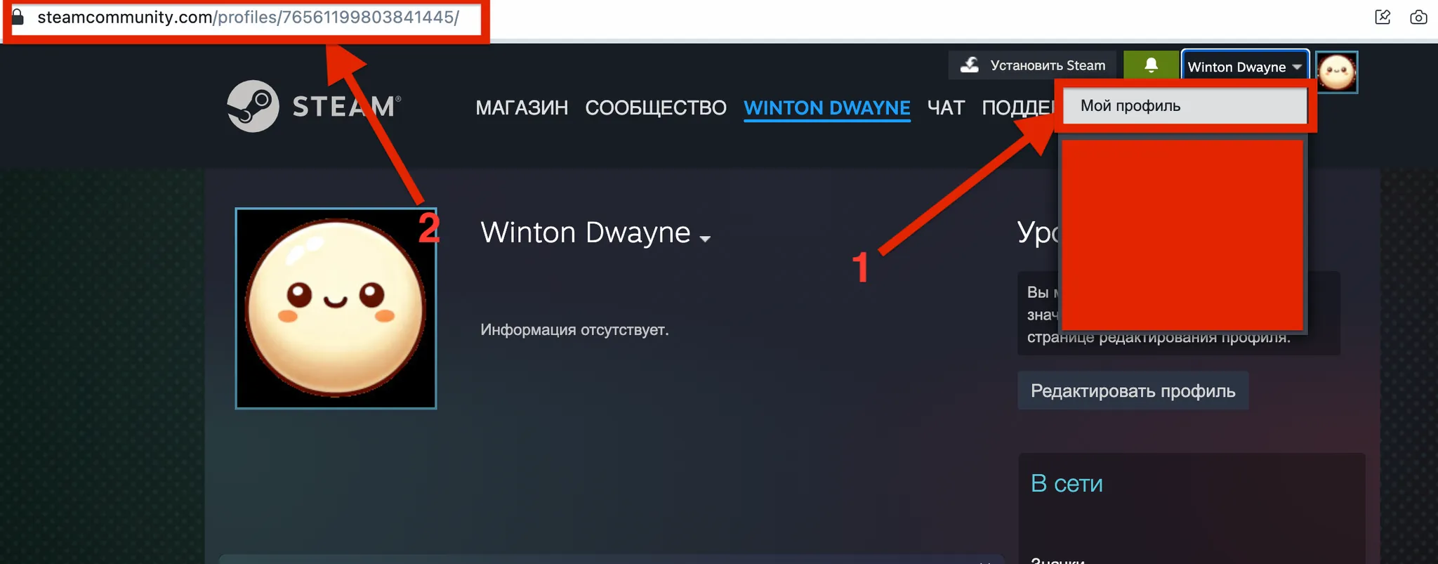 Как скопировать ссылку на профиль в Steam